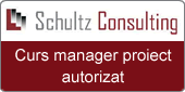 Schultz Consulting