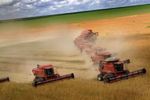 subventie, agricultura, Guvern, Ministerului Agriculturii si Dezvoltarii subventie, agricultura, Guvern, Ministerului Agriculturii si Dezvoltarii