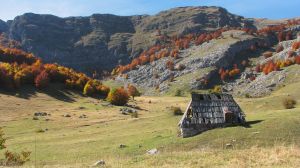 finantare, agricultura, PNDR finantare, agricultura, PNDR