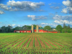 Fermierul, agricultori, cofinantare