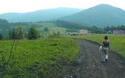 subventii, agricultura, Agentia de Plati si Interventie pentru Agricultura, Programul National de Dezvoltare Rurala, Agentia de Plati pentru Dezvoltare Rurala si Pescuit subventii, agricultura, Agentia de Plati si Interventie pentru Agricultura, Programul National de Dezvoltare Rurala, Agentia de Plati pentru Dezvoltare Rurala si Pescuit