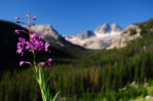 Natura 2000, POR Natura 2000, POR