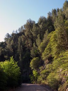 Aviz Natura, finantare, proiecte