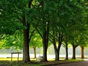 primarie, Bistrita, reamenajare parc primarie, Bistrita, reamenajare parc