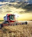 Primul Siloz, agricultura, program, garantie, credite, certificate Primul Siloz, agricultura, program, garantie, credite, certificate