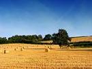 sector agricol, banci, creditare, agricultura, criza, strategie, fermieri sector agricol, banci, creditare, agricultura, criza, strategie, fermieri