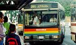 subventie, elevi, transport in comun subventie, elevi, transport in comun
