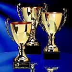 Romanian PR Award, ONG-uri, societate civila, proiecte, competitie Romanian PR Award, ONG-uri, societate civila, proiecte, competitie