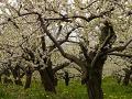 finantare, cercetare, proiecte finantare, cercetare, proiecte