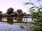 ecologie, agricultura, Delta Dunarii, MAPDR ecologie, agricultura, Delta Dunarii, MAPDR