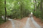 drum forestier, fonduri europene, Parcul Muntii Rodnei, turism