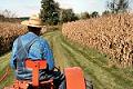 programul Fermierul, credite, investitii, agricultura programul Fermierul, credite, investitii, agricultura