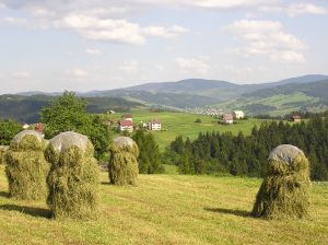 finantare, fermieri, sprijin, agricol finantare, fermieri, sprijin, agricol