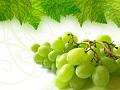 subventie, sector viticol, finantare subventie, sector viticol, finantare