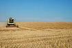 subventia la hectar, surse, finantare, producatori agricoli subventia la hectar, surse, finantare, producatori agricoli
