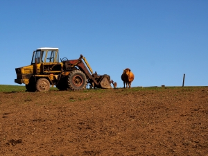 ferme agricole de semi-subzistenta