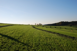 agricultura, fonduri