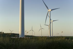 investie, eoliana