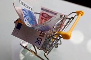 consultanta, euro