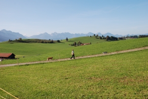 fonduri suplimentare, PNDR