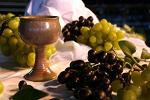 fonduri nerambursabile, vin fonduri nerambursabile, vin