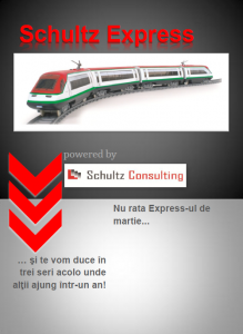 Schultz Express