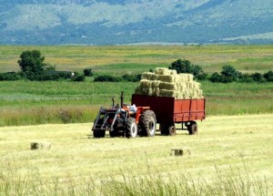 tractor_fan