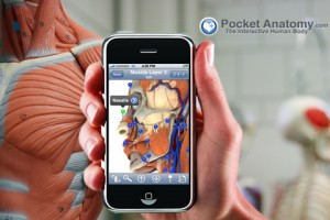 Anatomie_aplicatie