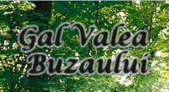 GAL_Valea_Buzaului