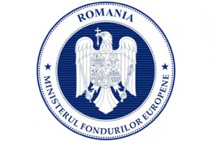 Sigla MFE