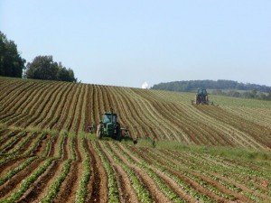 agricultura