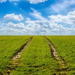 agricultura MADR