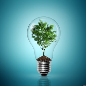 energie verde 2020