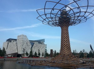 expozitie