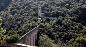 Umbria-parteneri