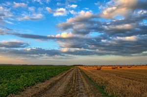 agricultura