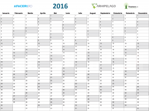 Planner-Afaceri.ro-2016-web