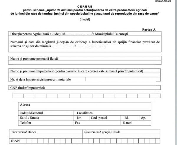 cerere-minimis_b