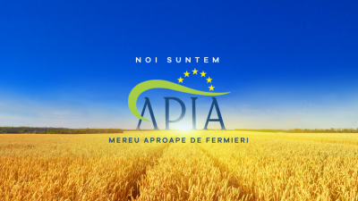 APIA.png
