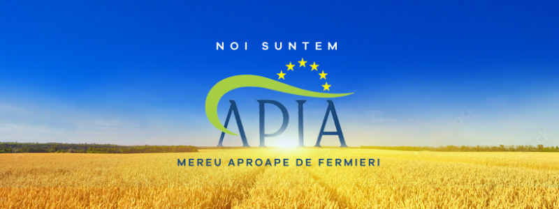 APIA.png