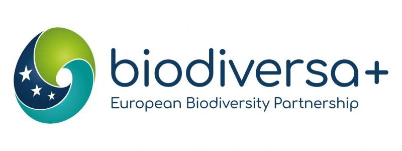Biodiversa-scaled-1.jpg