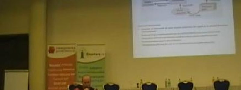 Cristian-Paun-proiecte-investitii-II.jpg