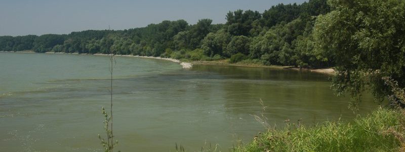 Danube.jpg