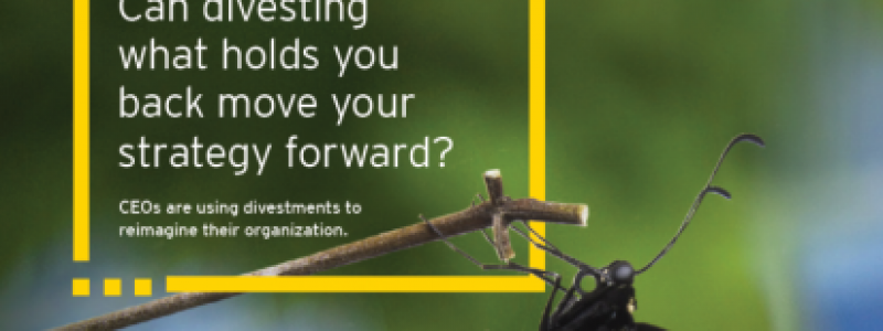 EY-dezinvestire-studiu-coperta-768x558-1.png