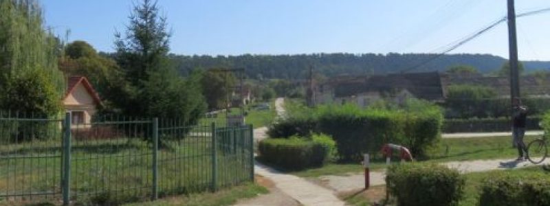 Foto1-alei-bicliclete-Bazna.jpg