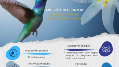 Microintreprinderi-2023-nordest.jpg