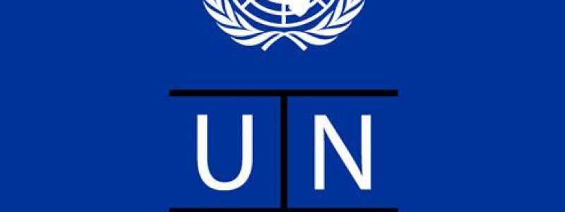 UNDP.jpeg