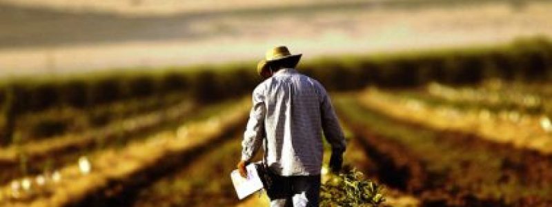agricultori.jpg