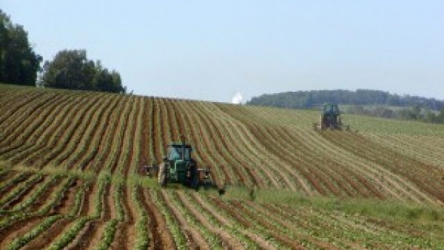 agricultura-300x225.jpg