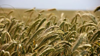 agricultura-caravana.jpg